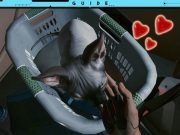 Guide: Ein Haustier in Cyberpunk 2077 – Die Katze und ihr Fundort