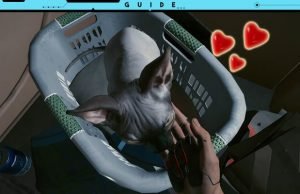 Guide: Ein Haustier in Cyberpunk 2077 – Die Katze und ihr Fundort
